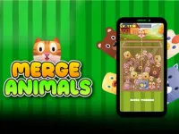 Merge Animals game image